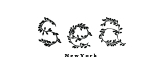 seanewyork優(yōu)惠券